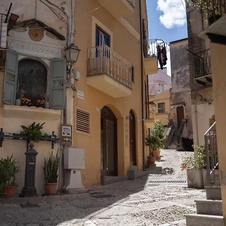 Dali Rocca *